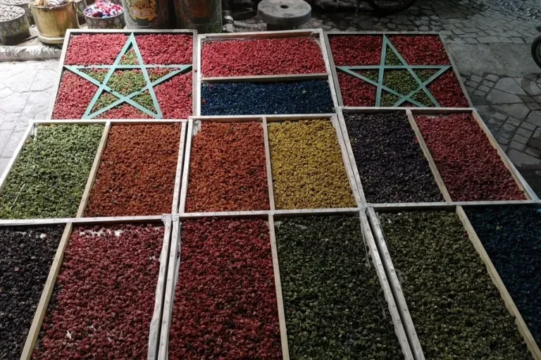 Kräuterbasar Meknes auf Städtetrip fotografiert