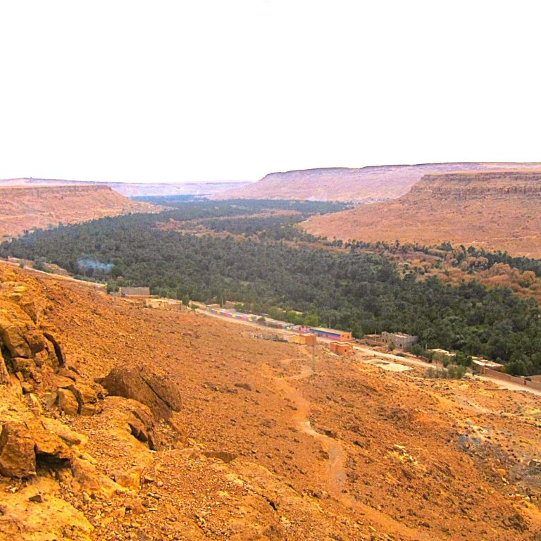 Draa-Tal Oase