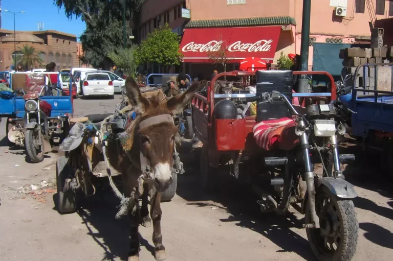 Von Fes nach Rabat mit Motorrad