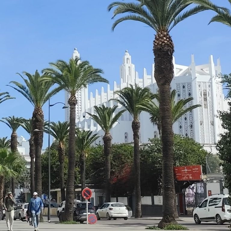 Casablanca Palmen Casablanca Palmen